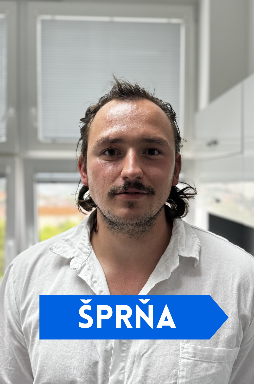 Šprňa